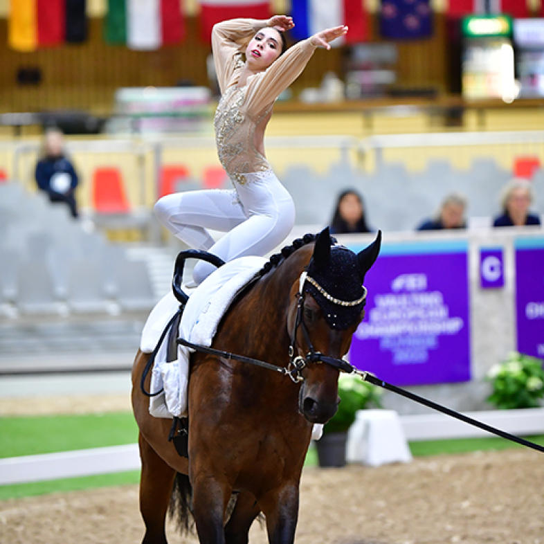 Amazona em prova de vaulting
